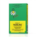 JOSIF PANČIĆ ČAJ 11 PULMO MIX 100g