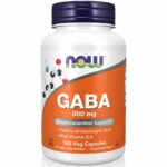 NOW Foods GABA 500 mg 100 kapsula