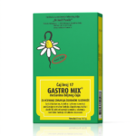 Josif Pančić Gastro Mix čaj 17 100g